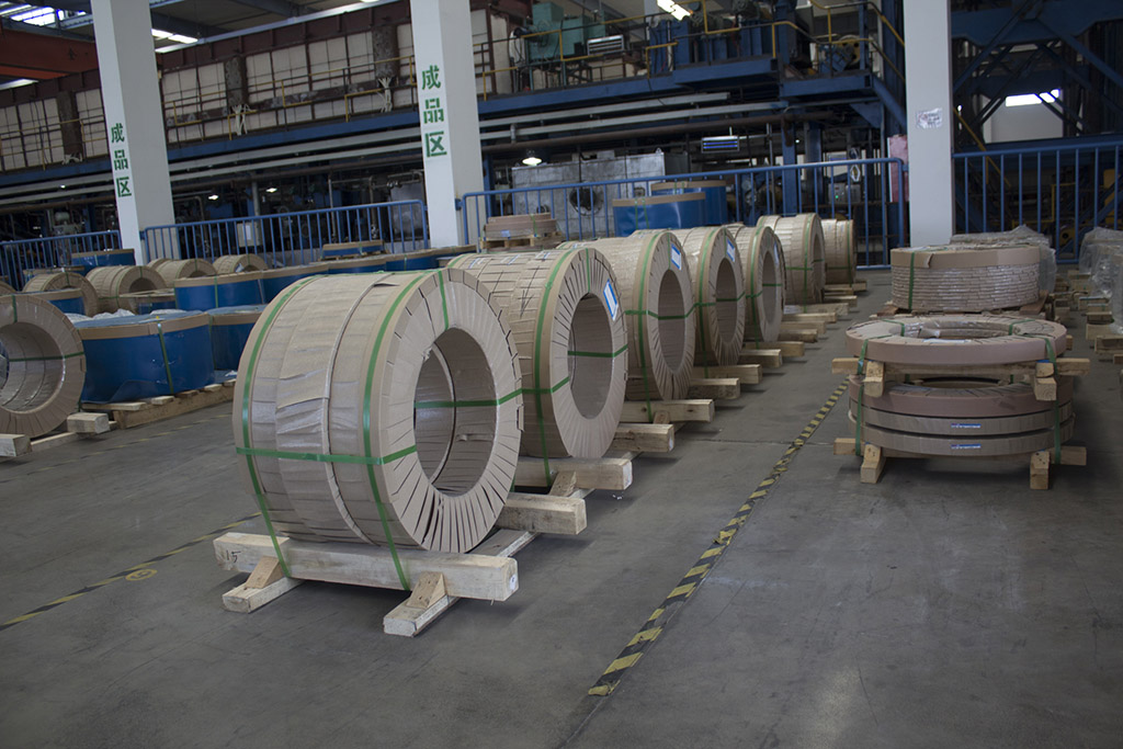 Stainless Steel Strips & Coils